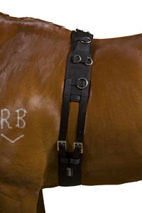 Kincade Deluxe Equigrip Lunge Roller