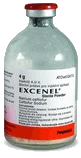 Excenel Sterile Powder for solution for injection