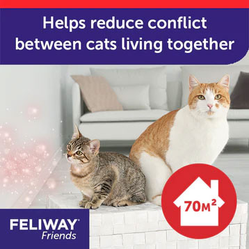 Feliway Friends