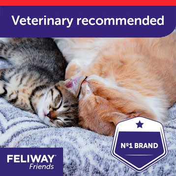 Feliway Friends
