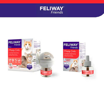 Feliway Friends
