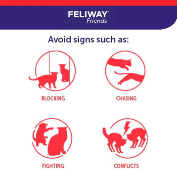 Feliway Friends