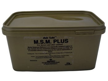 Gold Label MSM Plus for Horses