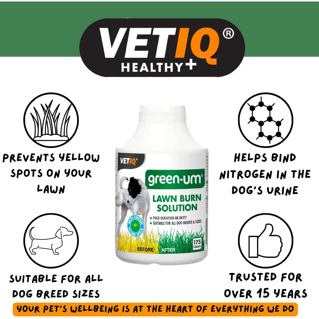 VetIQ Green-UM Lawn Burn Control Solution
