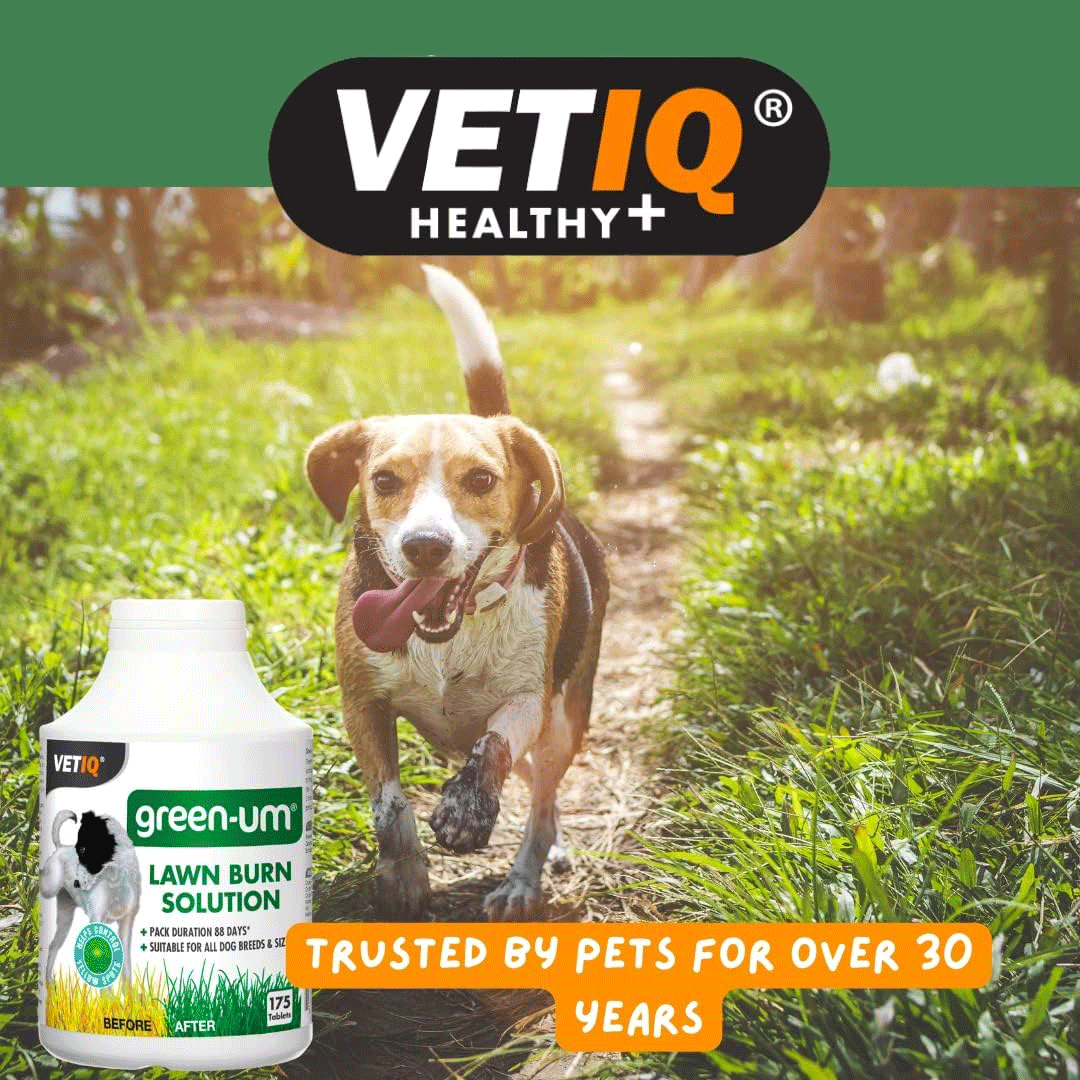 VetIQ Green-UM Lawn Burn Control Solution