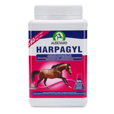 Audevard Harpagyl Nutritional Supplement for Horses