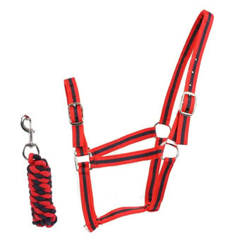 Roma Headcollar & Lead Rope Set