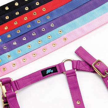 Hy Holly Fully Adjustable Head Collar - Black