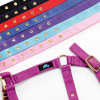 Hy Holly Fully Adjustable Head Collar - Purple
