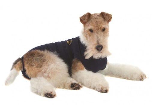 Medical Pet Shirt Dog Navy