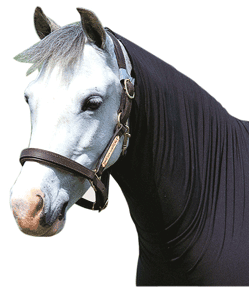 WeatherBeeta Lycra Stretch Neck Rug - Black