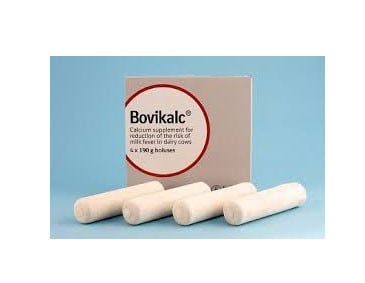 Bovikalc Bolus Calcium Support for dairy cows (pack of 4)