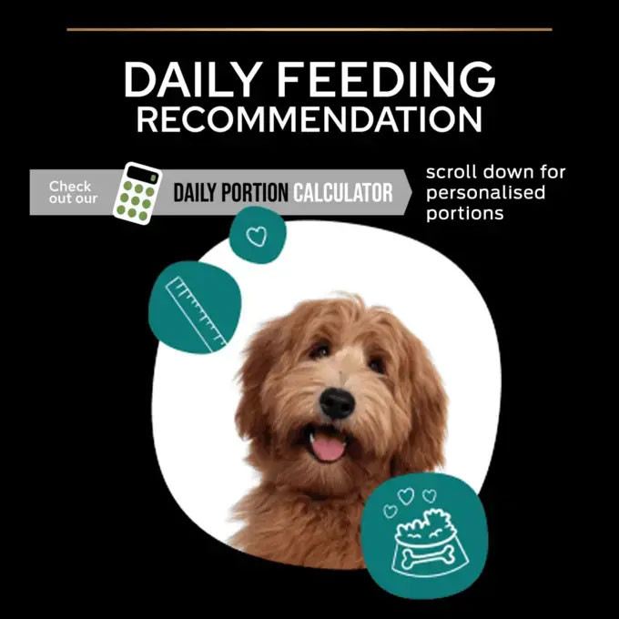 Pro Plan Medium & Large Adult 7+ Age Defence Chicken Dry Dog Food 14kg