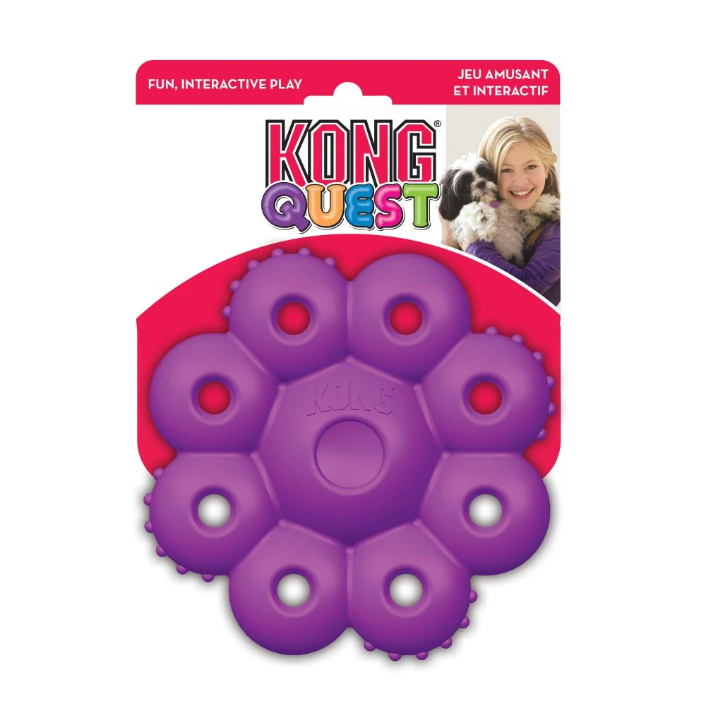 KONG Quest Starpod