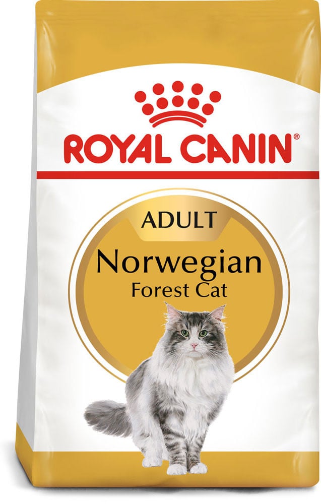 Royal Canin Norwegian Forest Adult Dry Cat Food