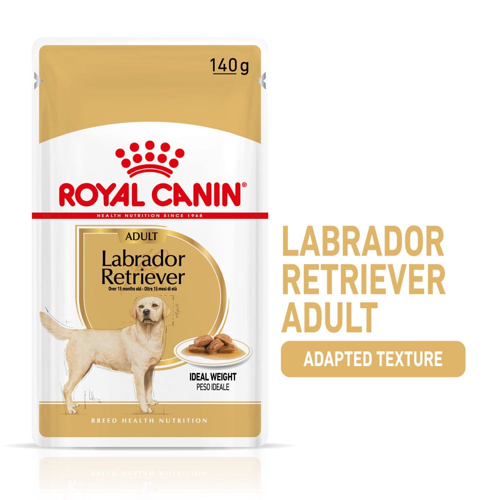Royal Canin Labrador Retriever Adult in Gravy Wet Dog Food