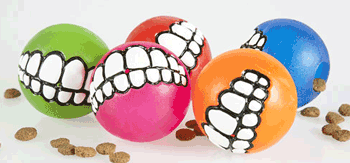 Rogz Grinz Ball for dogs