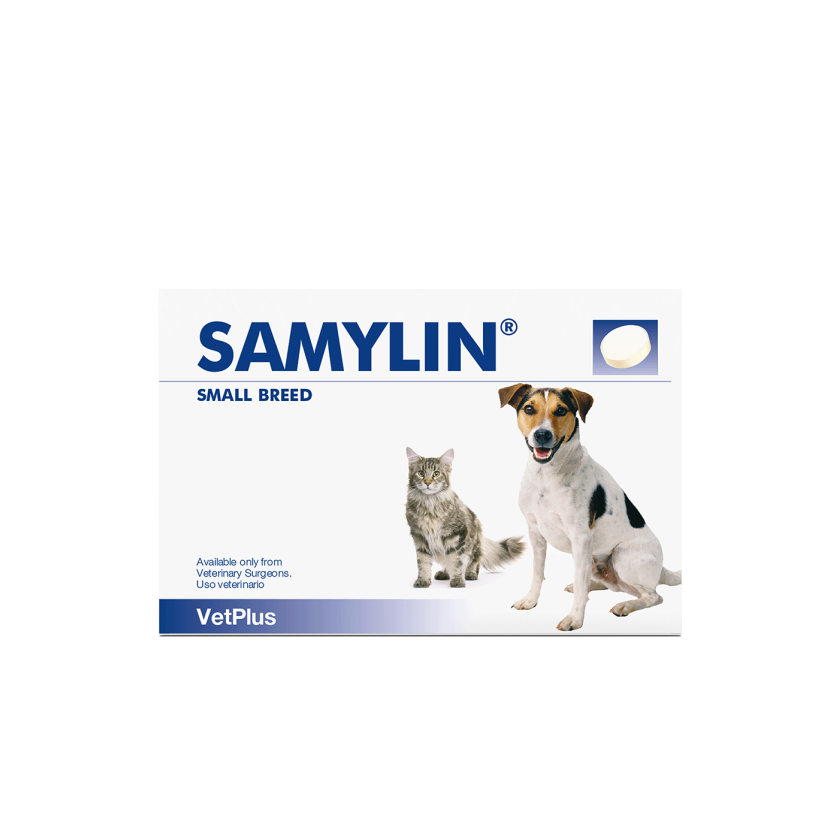 Samylin Tablets (pack of 30)