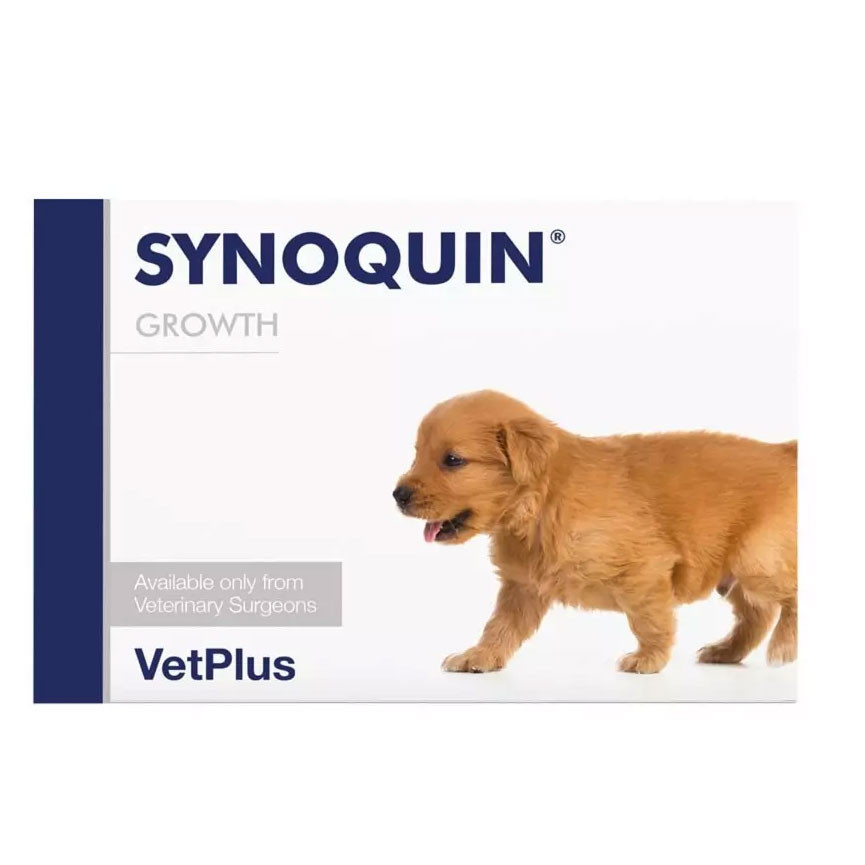 Synoquin Growth
