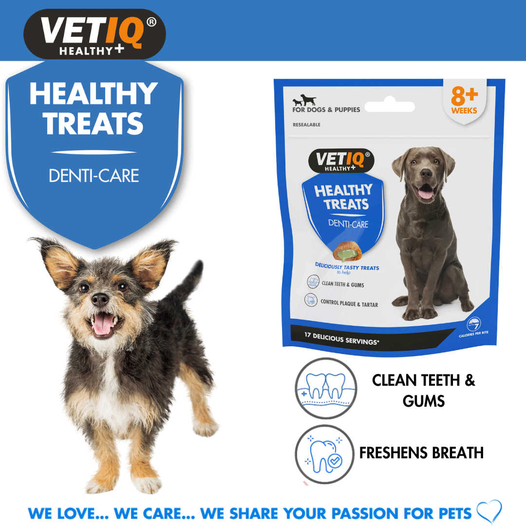 VetIQ HealthyTreats Breath & Dental