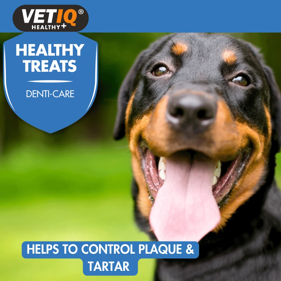 VetIQ HealthyTreats Breath & Dental