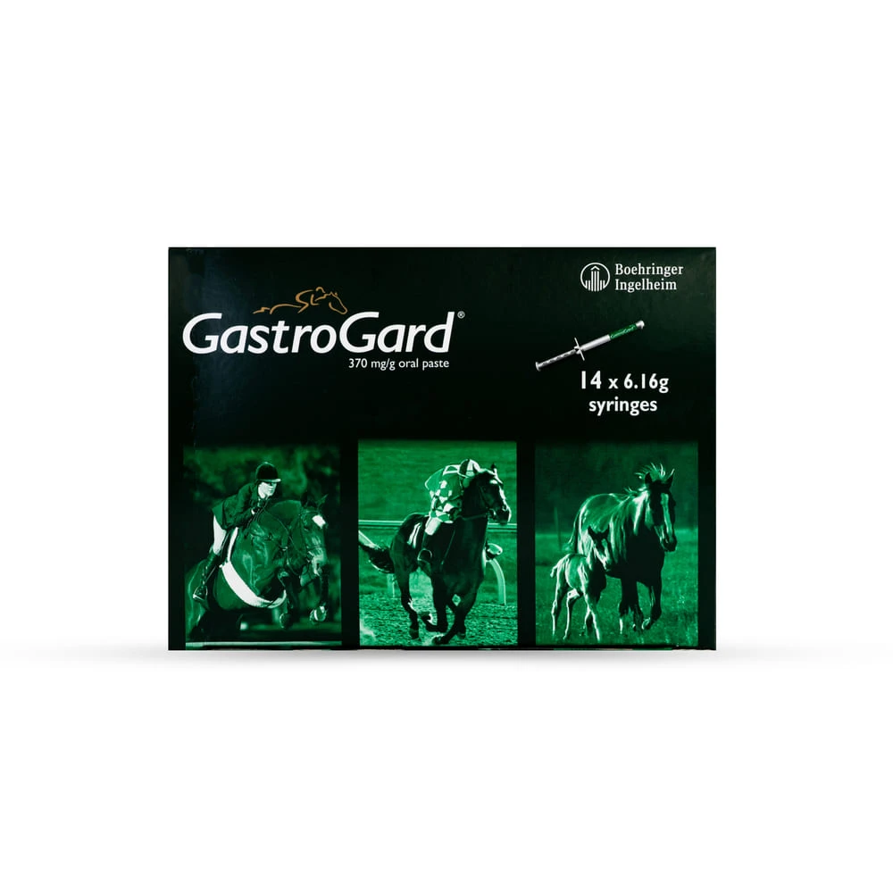 GastroGard 37% w/w oral paste for horses