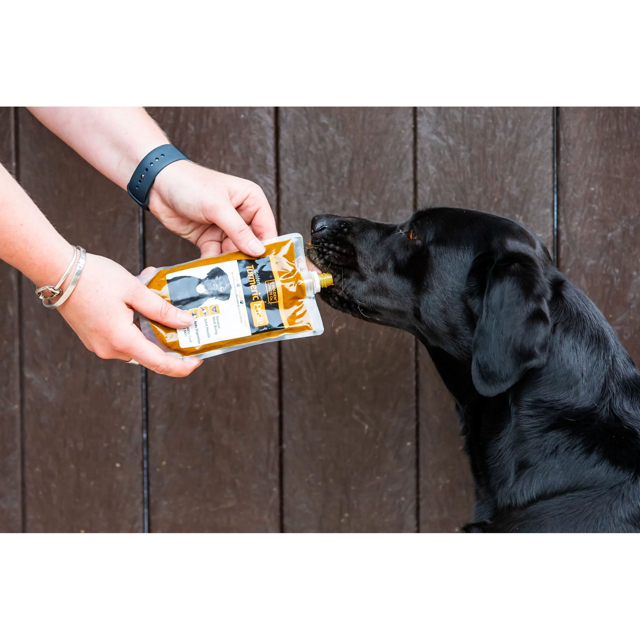 The Golden Paste Co. Turmeric Golden Paste for Dogs