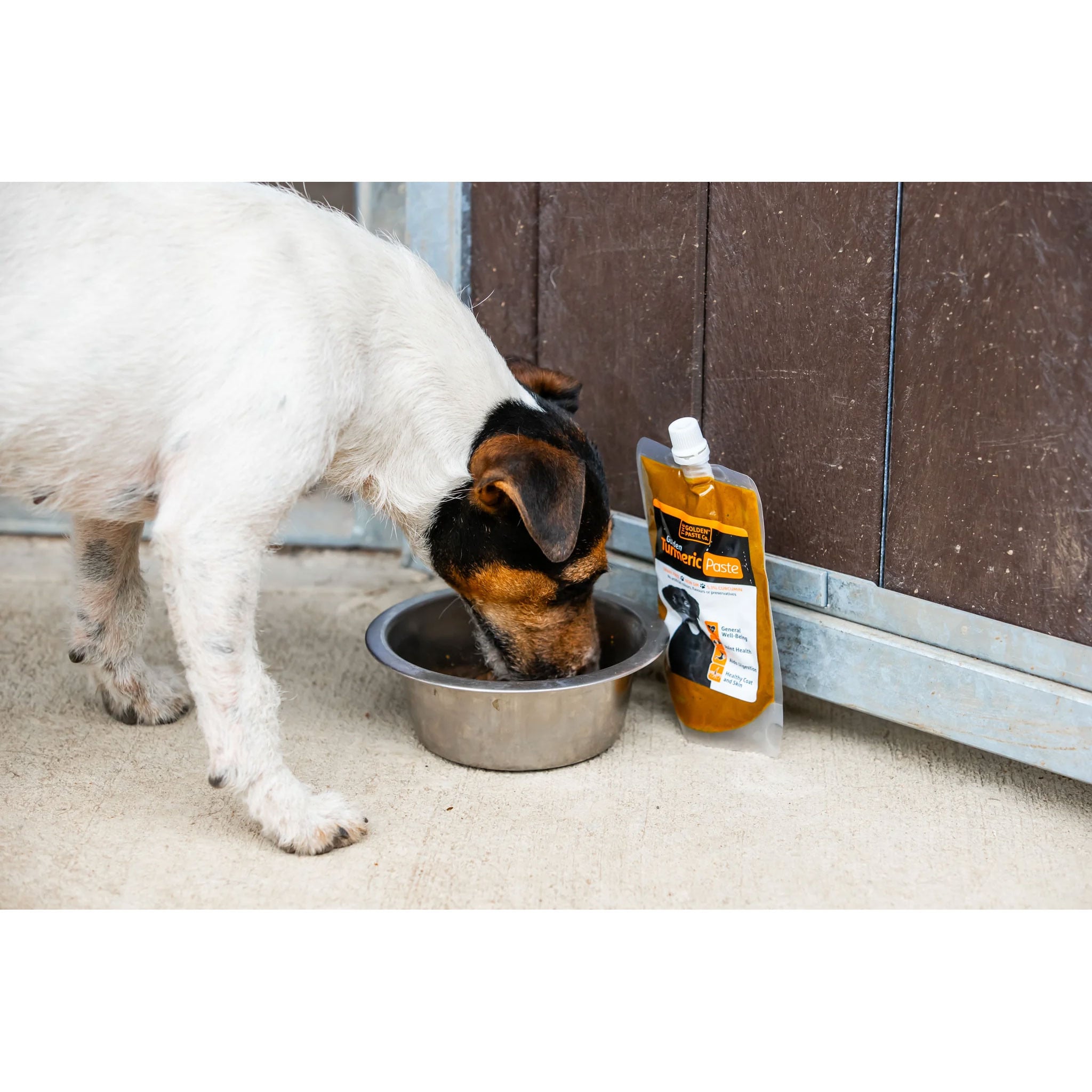 The Golden Paste Co. Turmeric Golden Paste for Dogs