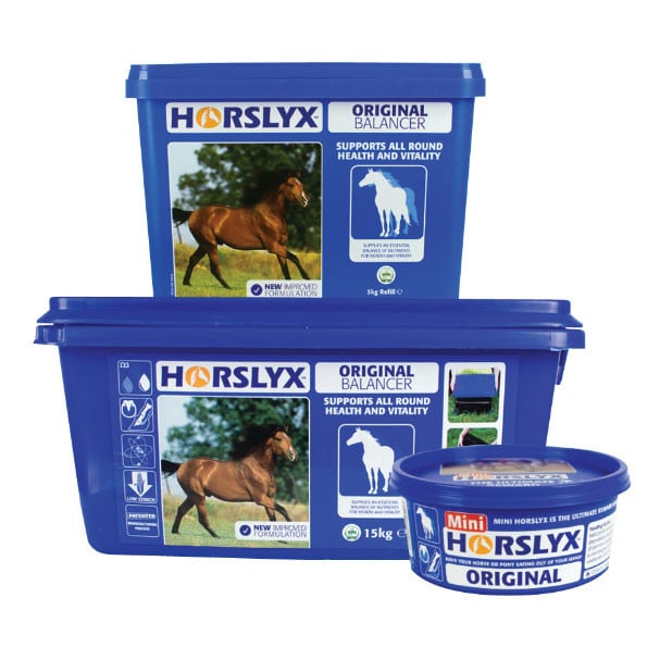 Horslyx Original