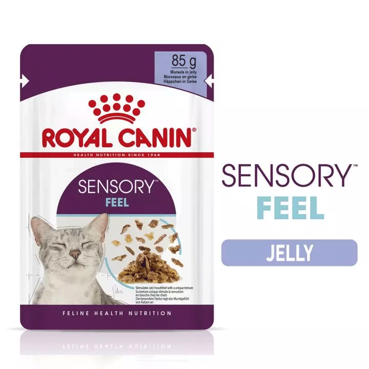 Royal Canin Sensory Feel in Jelly Adult Wet Cat Food