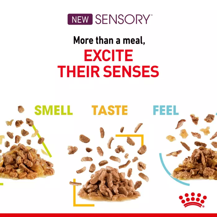 Royal Canin Sensory Smell in Gravy Adult Wet Cat Food