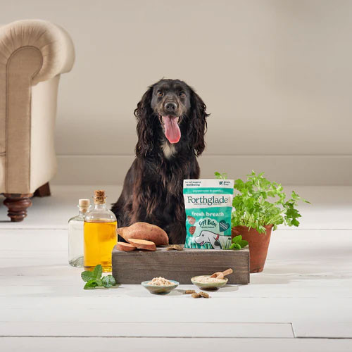 Forthglade Functional Natural Fresh Breath Soft Bite Treat 90g