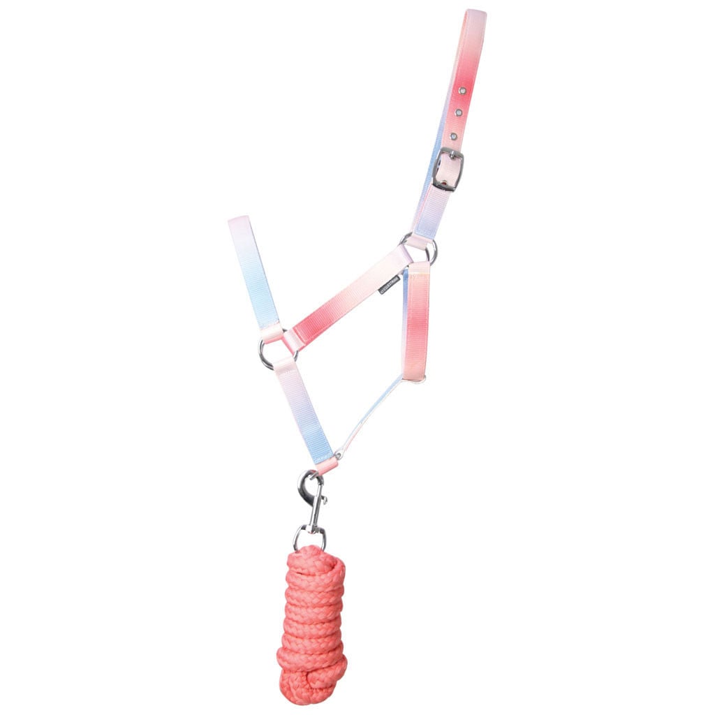 Hy Equestrian Ombre Head Collar and Lead Rope - Coral/Blue
