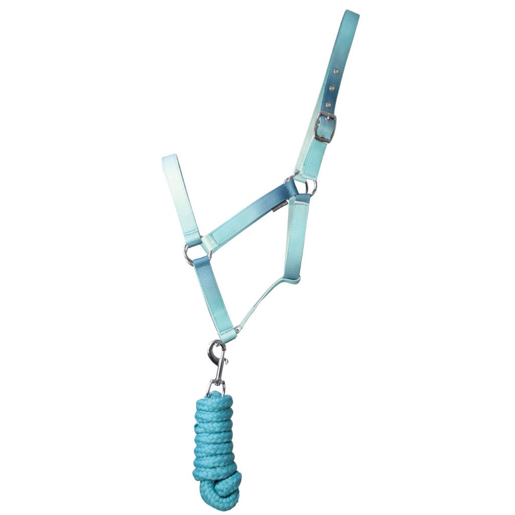Hy Equestrian Ombre Head Collar and Lead Rope - Teal
