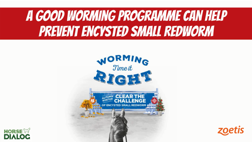 Encysted Small Redworm in Horses - A hidden danger