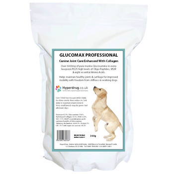 Joint Supplements for Dogs and Horses