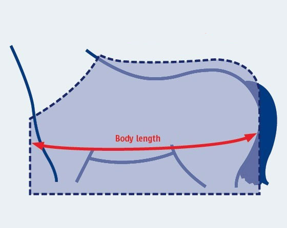 How to Measure a Horse Rug