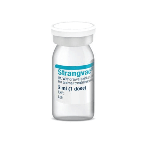 Strangvac Suspension for Injection for Horses and Ponies (pack of 8)