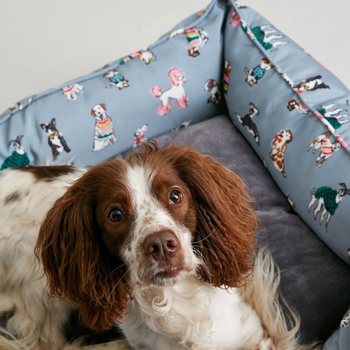 Joules Rainbow Dogs Box Bed