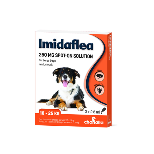 Imidaflea Spot on (Pack of 3 pipettes)