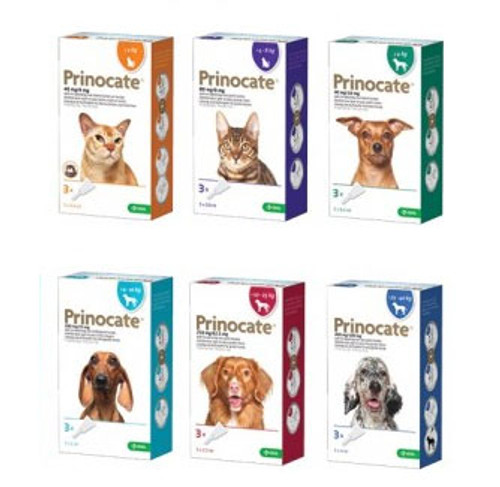 Prinocate Spot-on Solution For Cats & Dogs