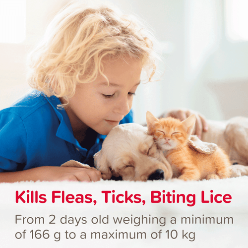 Beaphar FIPROtec Flea & Tick Spray for Cats & Dogs 100ml