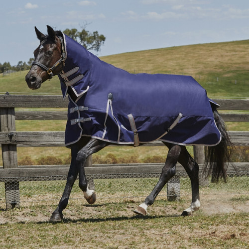 WeatherBeeta ComFiTec Essential Combo Neck Medium Turnout Rug