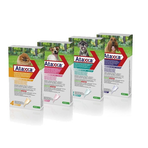 Ataxxa Spot-on Solution For Dogs POM