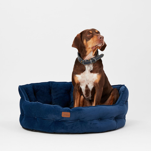 Joules pheasant deals dog bed