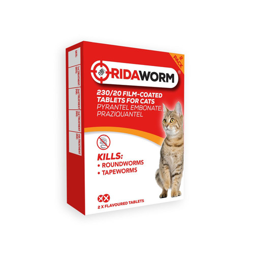 Chanelle Ridaworm Cat Tablets 2 TABLETS