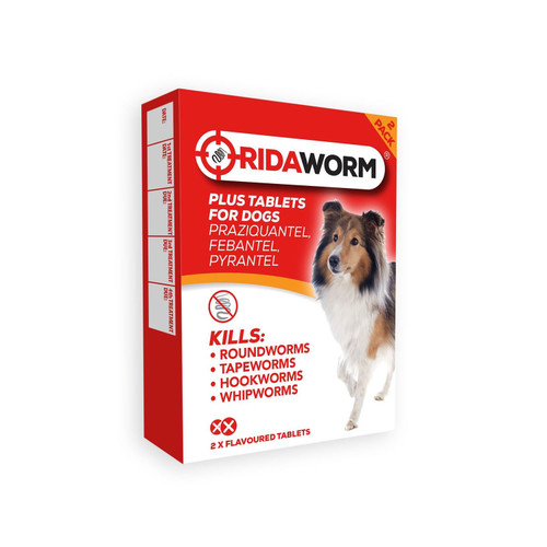 Chanelle Ridaworm Dog Tablets 2 TABLETS