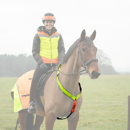 Equisafety Multi-Coloured Neckband