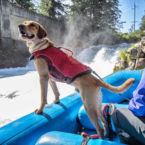 Kurgo Life Jacket Surf N Turf