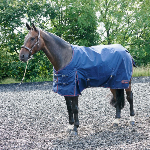 Whitaker Rastrick Turnout Rug 200Gm Navy